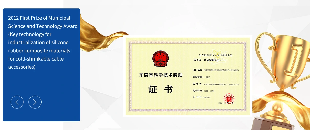 dongguan science and technology awards 2012