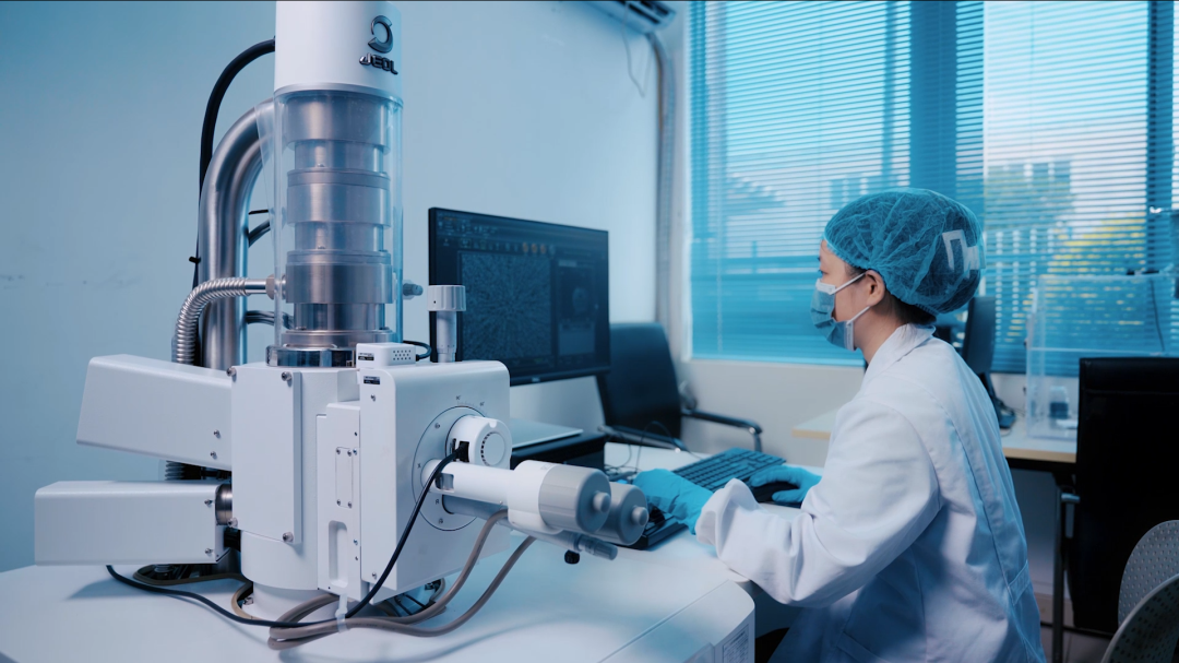Upgrading Electromagnetic Shielding Solutions: Full-Chain Advantages from Conductive Powders to Finished Products Upgrading Electromagnetic Shielding Solutions: Full-Chain Advantages from Conductive Powders to Finished Products